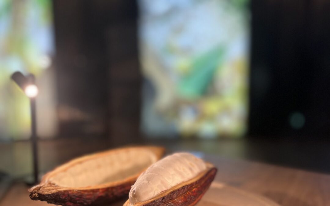 Ausflüge ins Chokoversum und die Kulturkapelle Wilhelmsburg